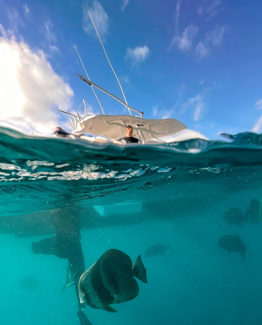 Experiencia exclusiva en plataforma flotante sobre el mar en Ibiza